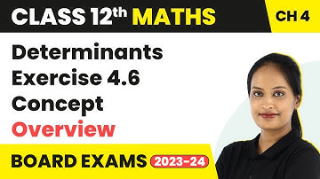 Determinants - Exercise 4.6 Concept Overview | Class 12 Maths Chapter 4 CBSE/IIT-JEE