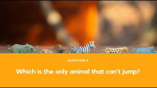 Which is the only animal that Cannot jump?