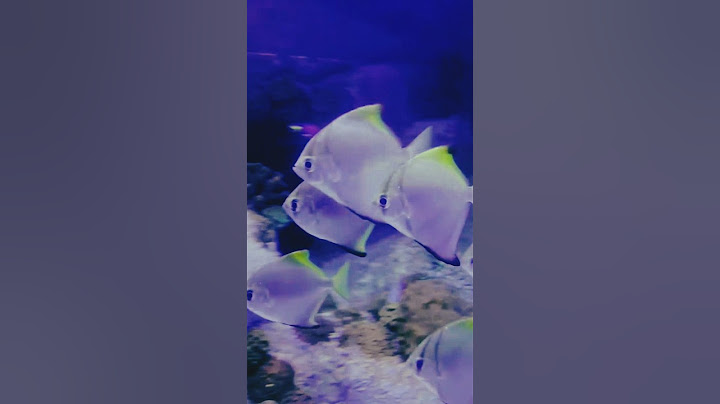 Underwater World, Pattaya, Thailand 🇹🇭 #underwater #water #tour #thailand