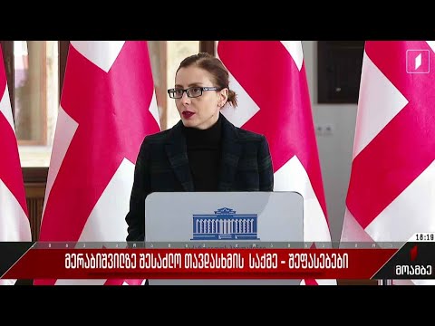 მერაბიშვილზე სავარაუდო თავდასხმის საქმე - შეფასებები