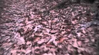 THE WORST MOUNTAIN BOARD EDIT EVER!