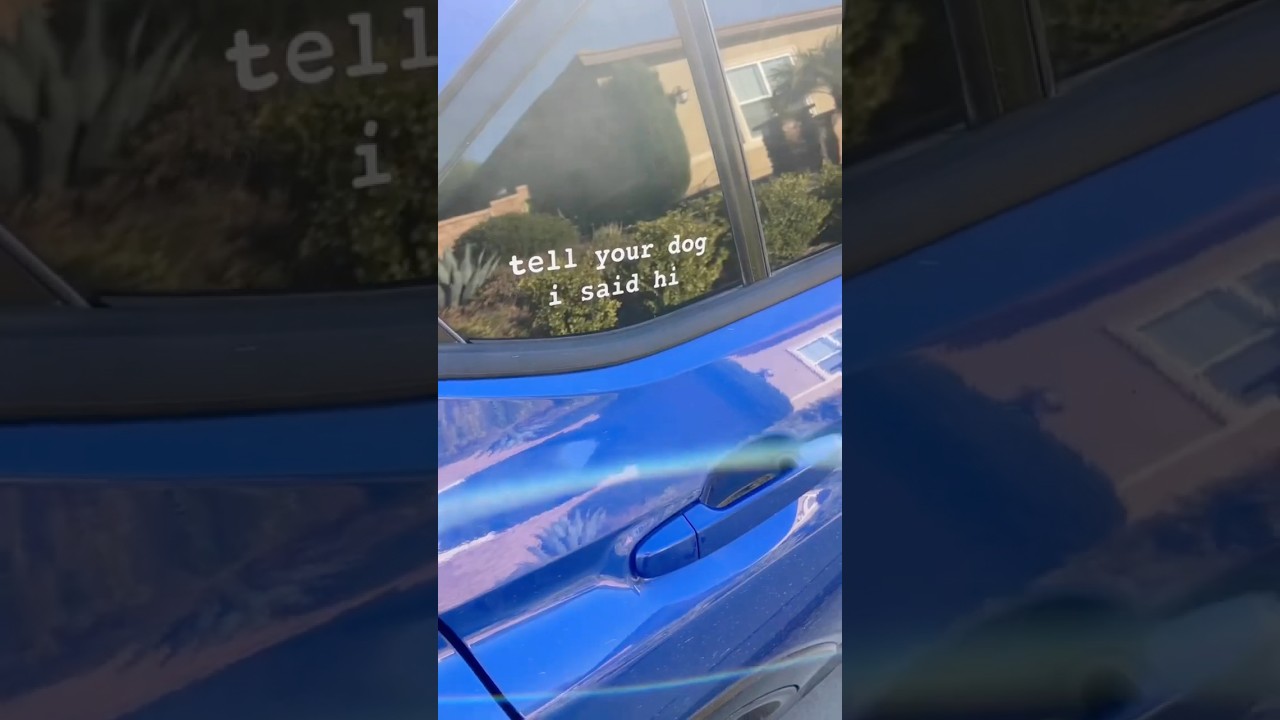 THE BEST STICKER IN THE WORLD