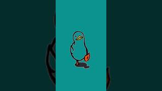 Walking duck gif meme
