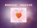 舒暢音符 洗滌心靈《Dreams of Love》釋放脆弱情感 擁抱甜蜜美夢