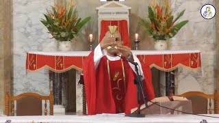 Catholic Mass Today, Tuesday, 10 August 2021