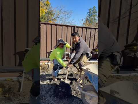 My Guys Do Every Task Together Shorts