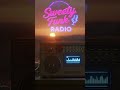 The perfect angel - Sweety Funk Radio