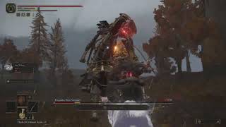 Elden Ring Dragon Claw Shield