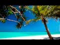 Calming music  beach relaxation