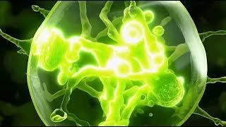 Chloroplast – captures light energy and produces glucose through the process