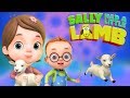Sally Had a Little Lamb | Baby Ronnie Rhymes | Videogyan 3d Rhymes | Nursery Rhymes & Kids Songs