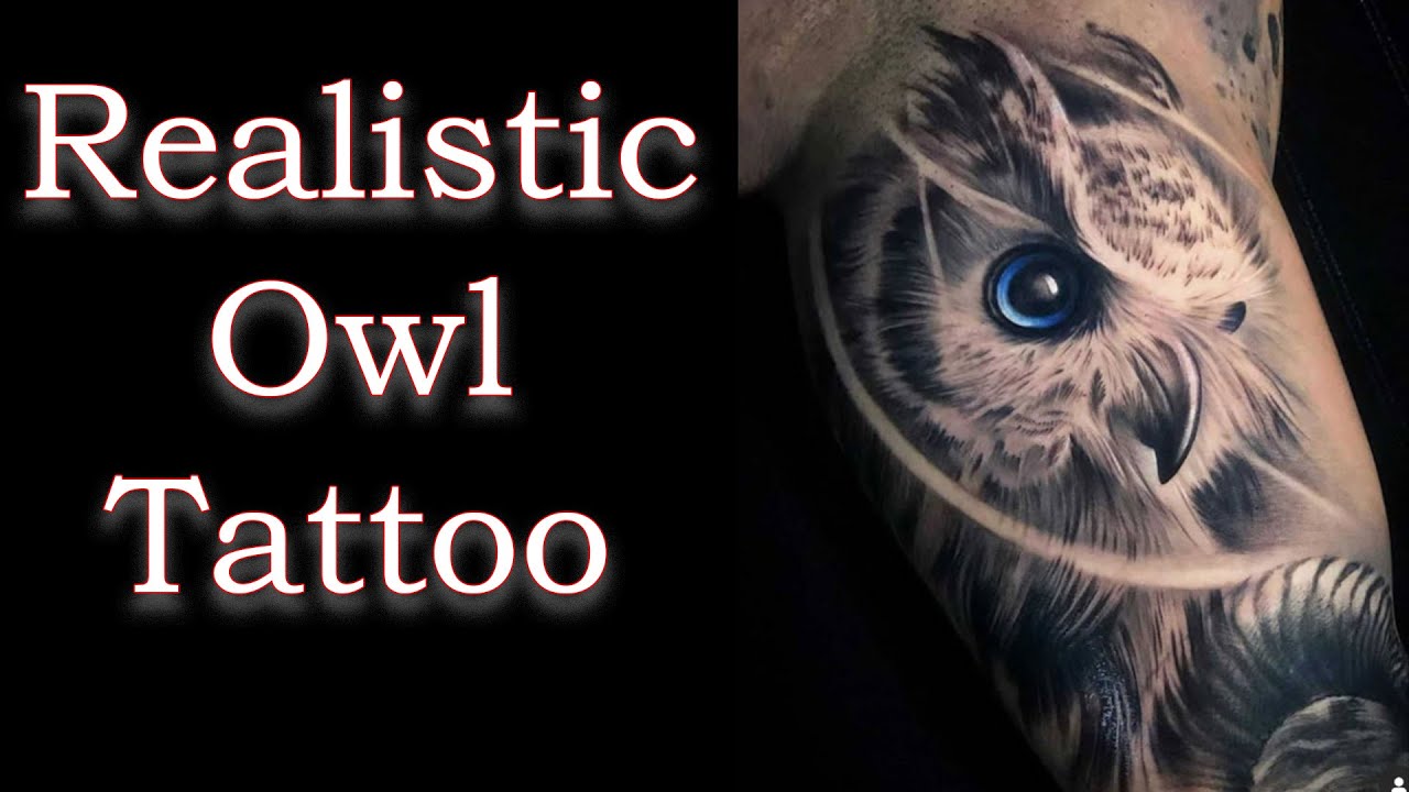 How To Draw An Owl And Skull Tattoo Step by Step Drawing Guide by Dawn   DragoArt