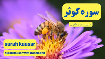 سوره کوثر | تلاوت زیبای سوره کوثر با ترجمه