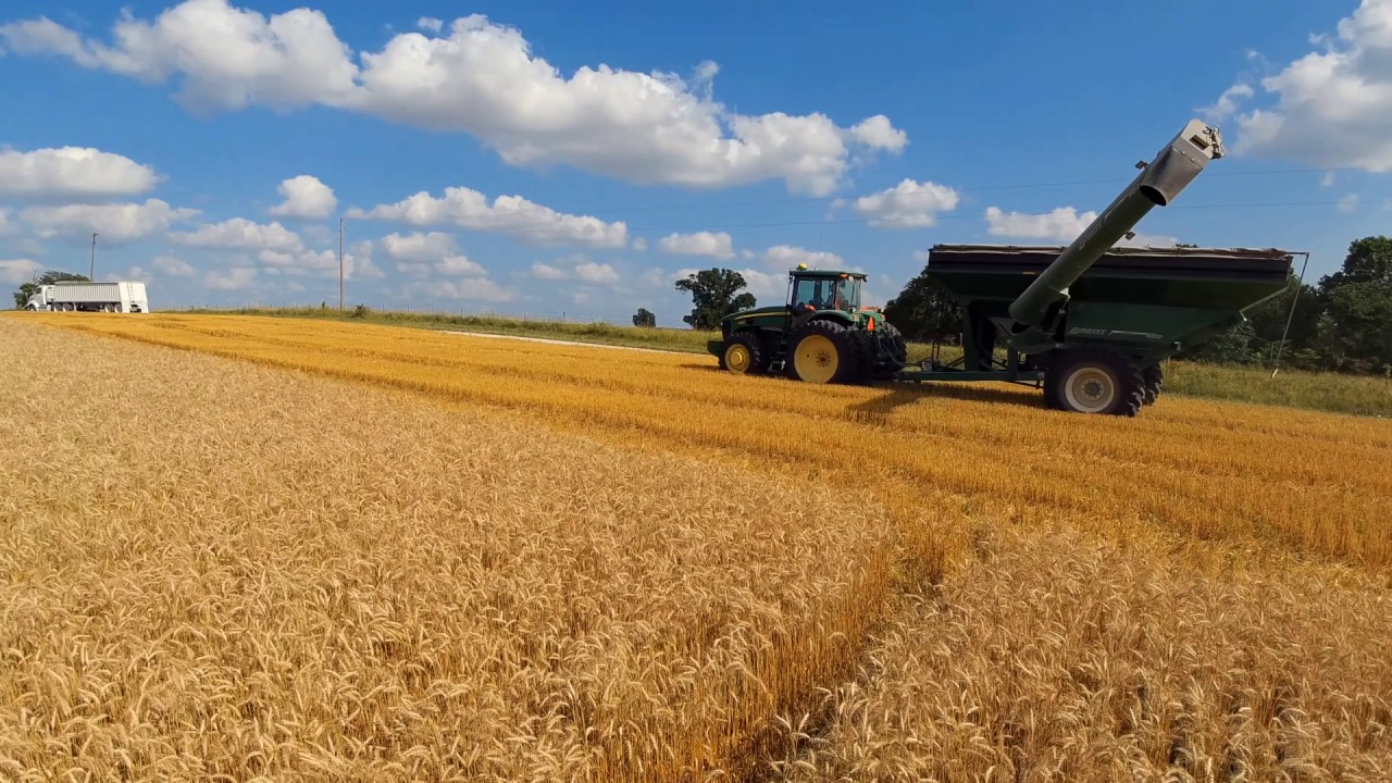ONSTOTT FARMS WHEAT HARVEST 2017 Lamar Mo YouTube