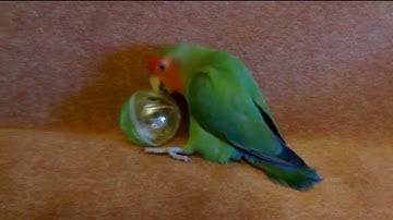 HTC One X - Video test, close look. 1080i