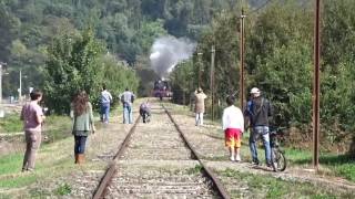 Expreso El Valdiviano