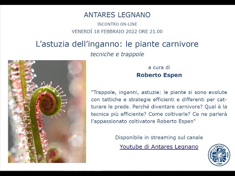 L&rsquo;astuzia dell&rsquo;inganno: le piante carnivore