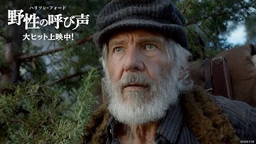 映画『野性の呼び声』TVCM１５秒【地上最後の秘境】編 　大ヒット上映中
