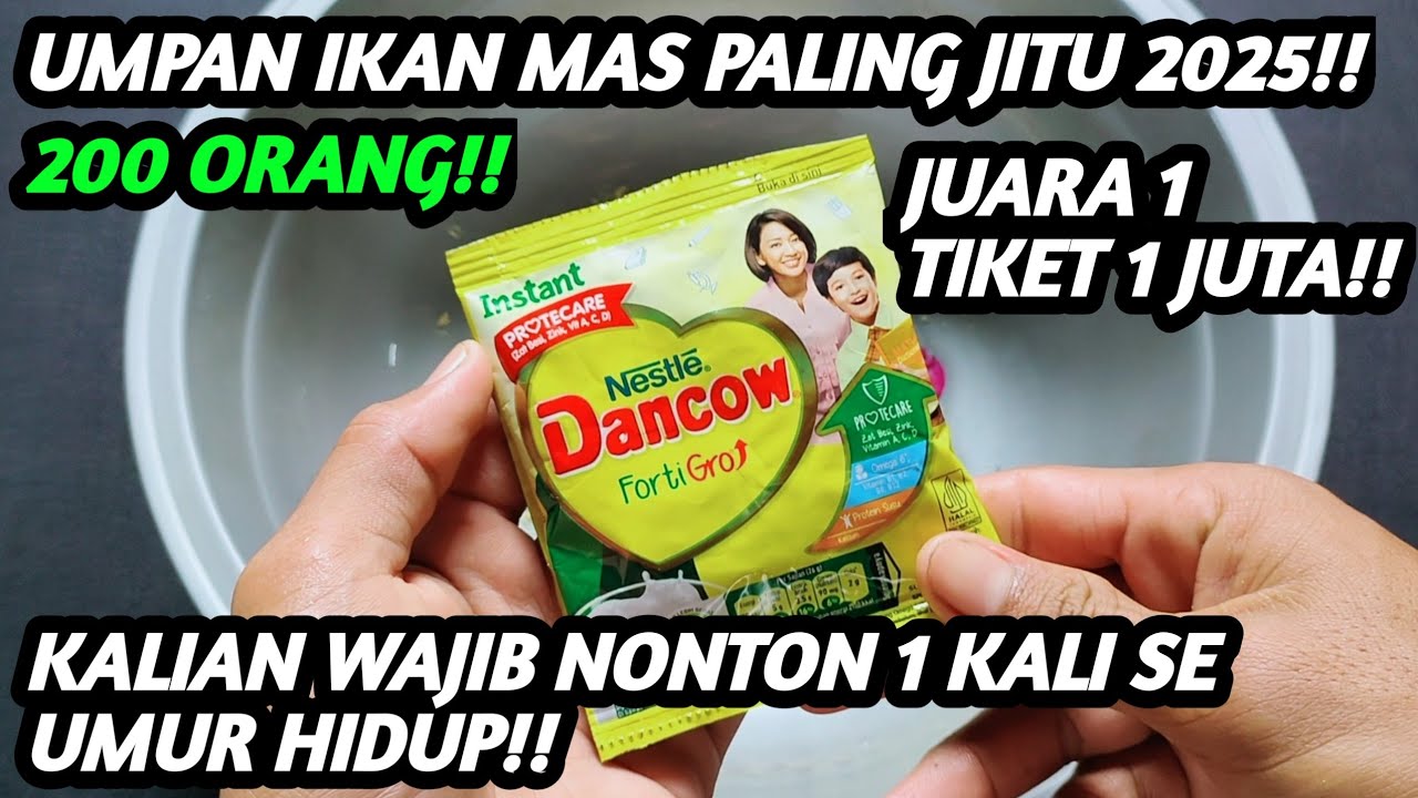 Tiket 1 juta!! umpan ikan mas paling jitu terbaru 2025!!
