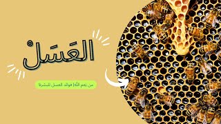 من نِعم الله| فوائد العسل للبشرة