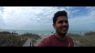 You will fall in love with this blue water beach | venice florida usa
vlog