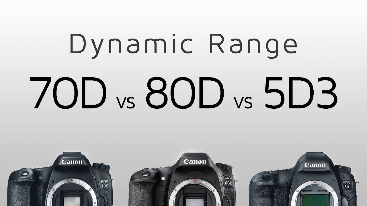 Сравнение canon 5d. Canon 70d vs 5d Mark III. Canon 80d vs 5d Mark III. Canon EOS R vs 5d mark3. Динамический диапазон Canon 70d.