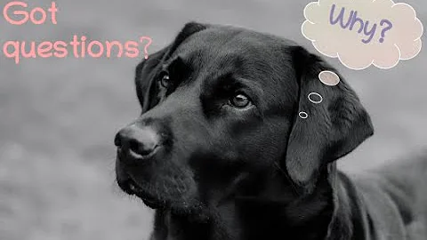 Why does Matthew 27:9 attribute the prophecy to Jeremiah when it is from Zechariah?