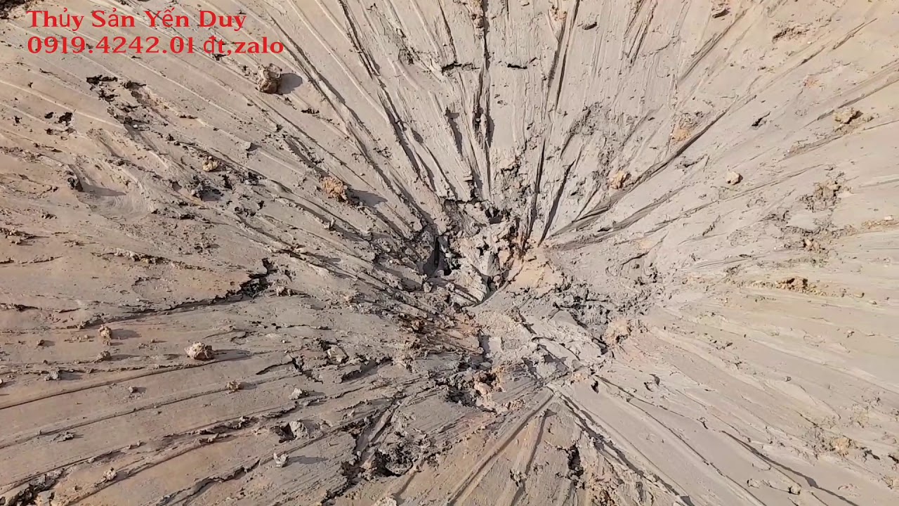 Kỉ thuật nuôi tôm.làm hố siphon ao đất thu gom chất thải chi phí thấp hiệu quả cao