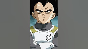 Vegeta Ignores Bulma 😂