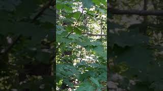 Someone Had A Lot To Say This Morning.