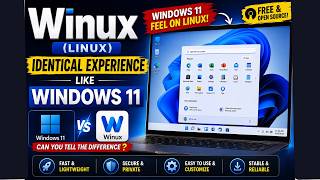 I Found Winux linux Same As Windows 11 