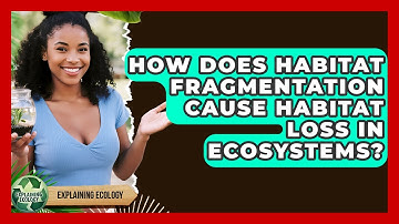 How Does Habitat Fragmentation Cause Habitat Loss In Ecosystems? - Explaining Ecology