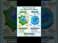#shortsfeed #education #biology #class12th #class11th #class10 #ytviral #important #cell