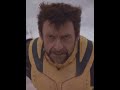 Wolverine vs Cassandra nova