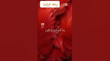 تلاوه خاشعه للشيخ محمد الفقيه