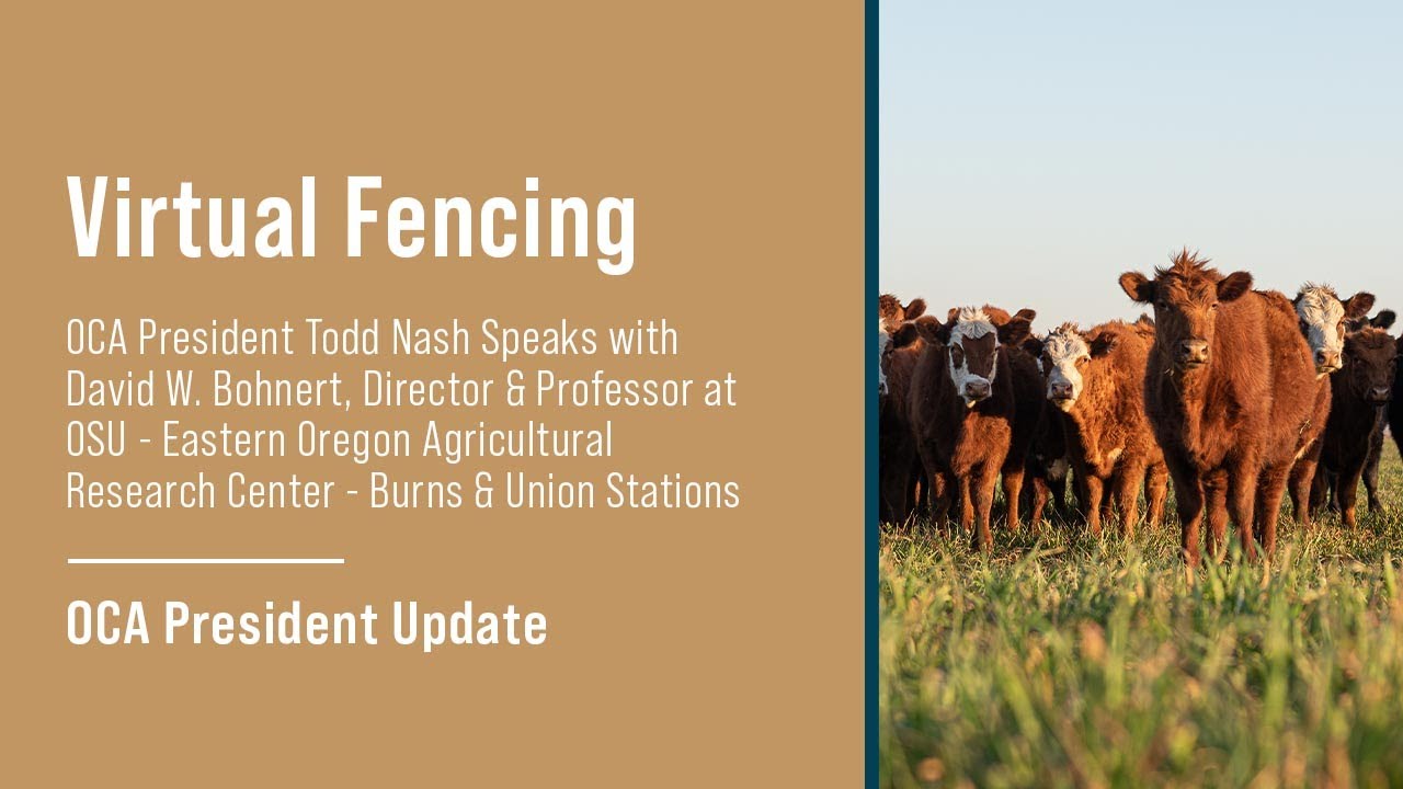 Virtual Fencing YouTube