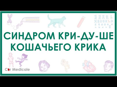 Видео: Что такое синдром Кри дю Чата?