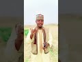Sirrika M Halifan Fada Jibia Viralreelschallenge Comedyfilms Alinu Kannywood Vivienda Vivienda
