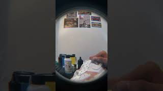 IMG 4788