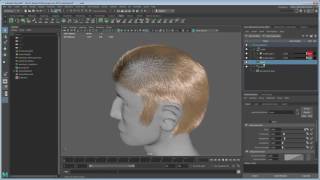 Create Maya hair - The basics