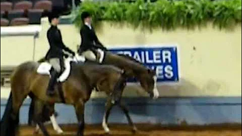 Michelle McDowell & Million Dollar Details