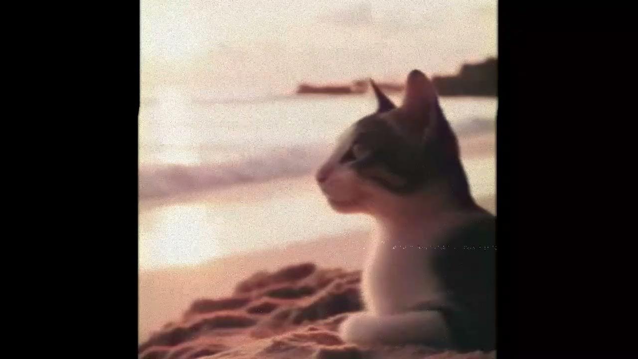 [SOLVED] (Iris Wit & Wendy) Unknown Song "Something That's Long