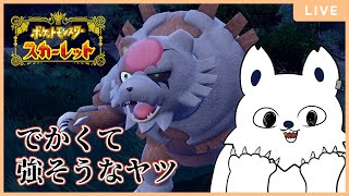 【ポケモンSV】すごいっ！すごいよこのガチグマ！なランクマッチ