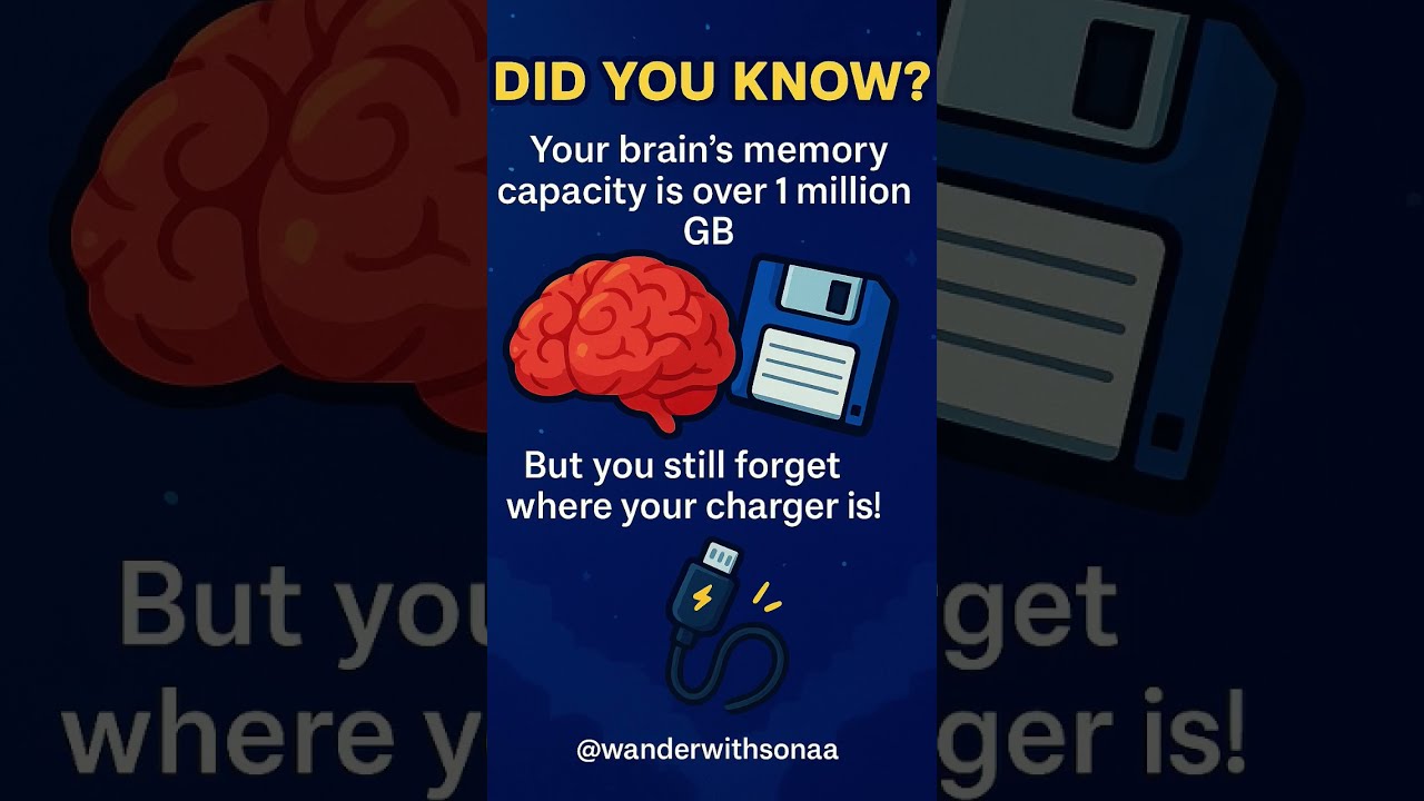 Relatable Tag Someone Whose Memory Needs An Upgrade Trending Mindset Braintest Science Fyp