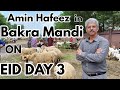 Amin Hafeez in Bakra Mandi on EID DAY 3 | Amin Hafeez