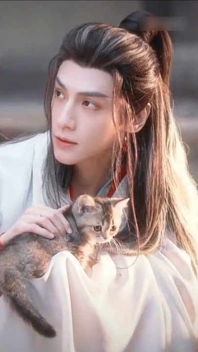 🐈‍⬛️🐈meow meow 🐈 🐈‍⬛️ Shuilongyin |Tang Lici | Luo Yun Xi