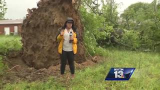 Storm topples tree, knocks out power in Lamar County