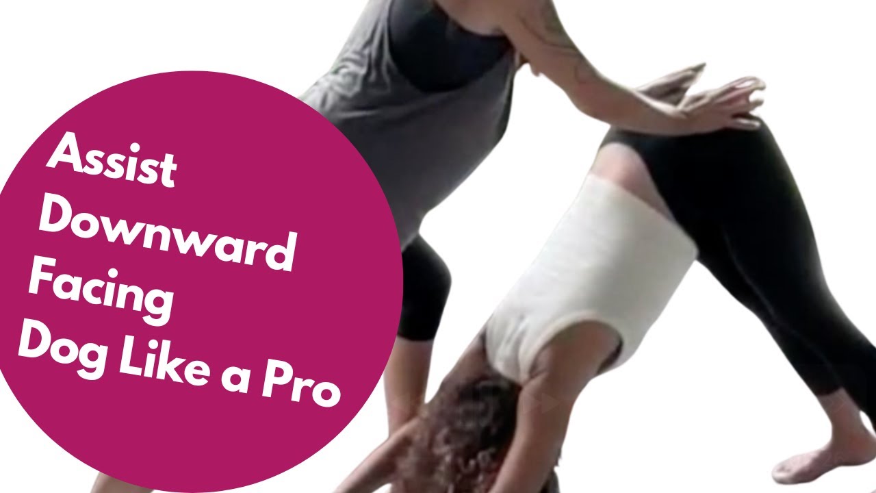 How to Assist Downward Facing Dog Like a Pro