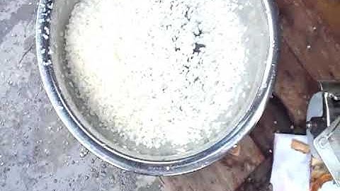 Automatic vegetable dicer,  Lotus root dice cutting machine