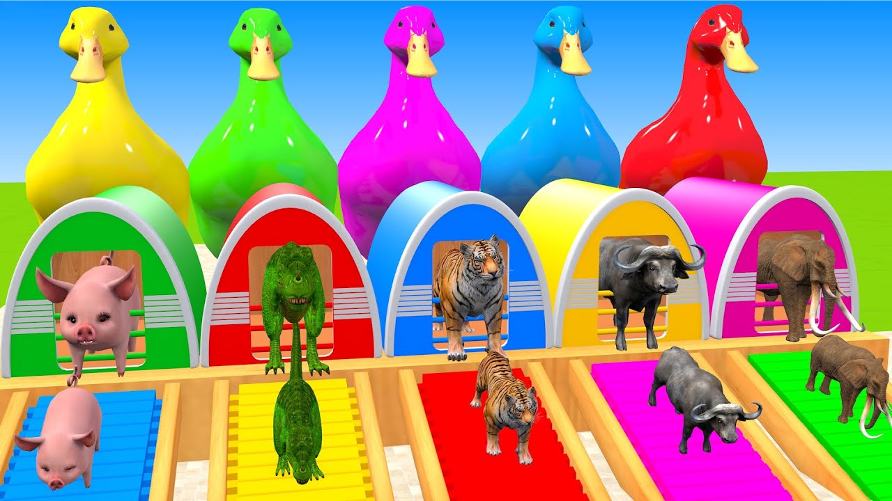 Long Slide Game With Cow Elephant Gorilla Hippopotamus Tiger 3d Animal Game Funny 3d Animals